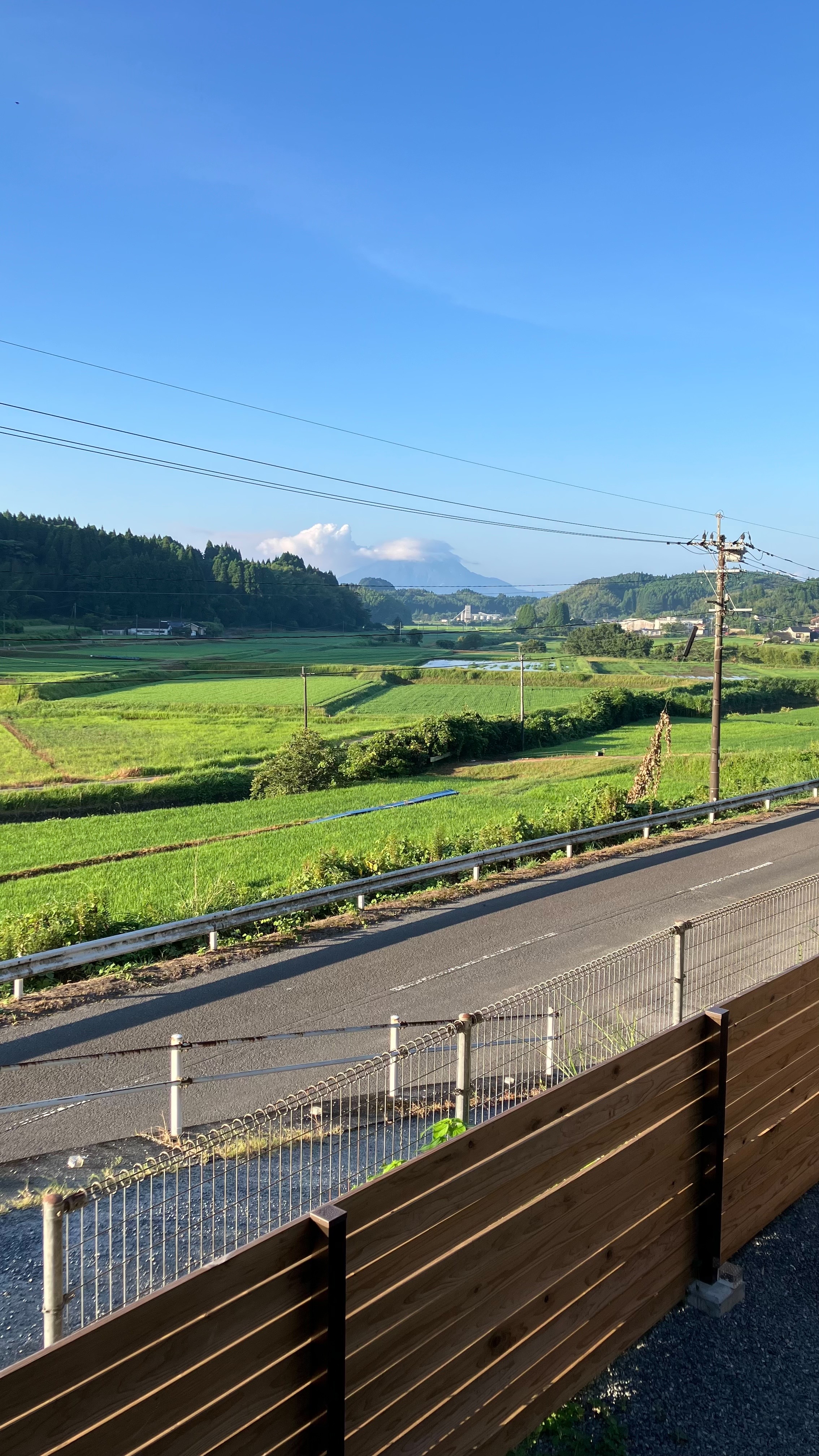 桜島と田園風景