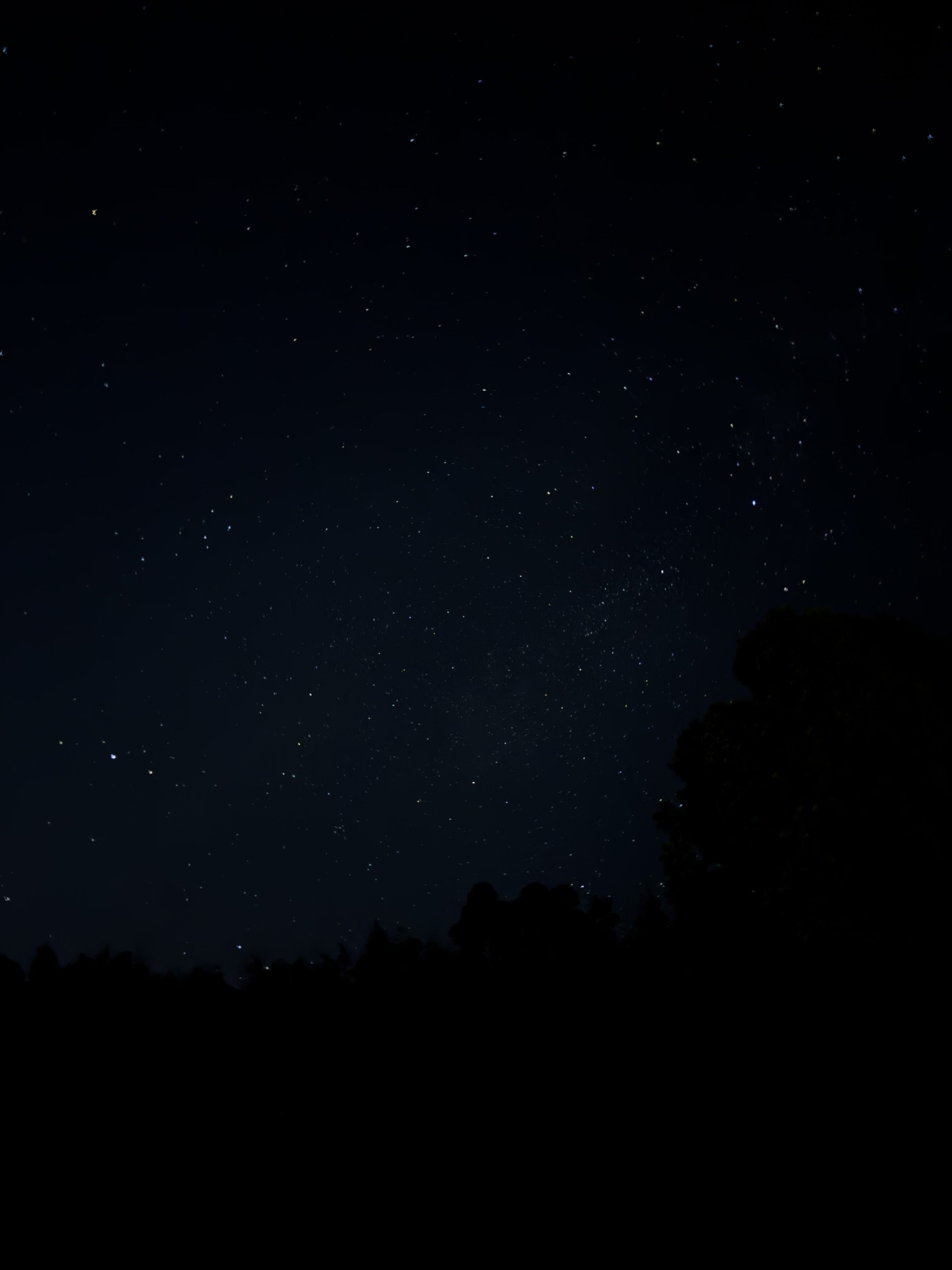 お客様が撮影したYu-Ruの夜のサウナ風景